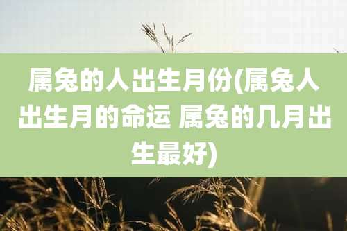 属兔的人出生月份(属兔人出生月的命运 属兔的几月出生最好)