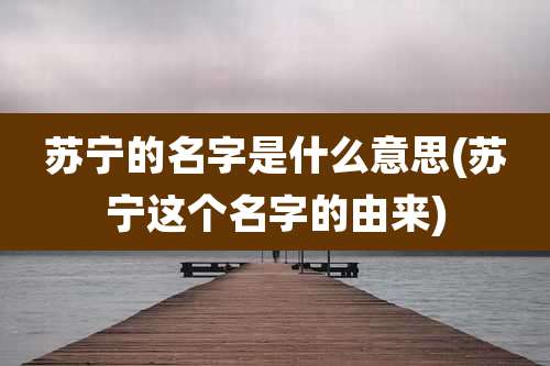 苏宁的名字是什么意思(苏宁这个名字的由来)