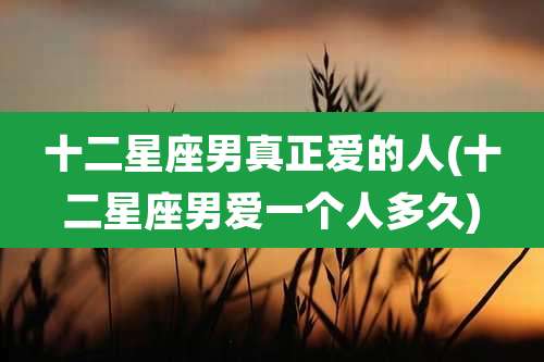 十二星座男真正爱的人(十二星座男爱一个人多久)