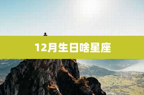 12月生日啥星座