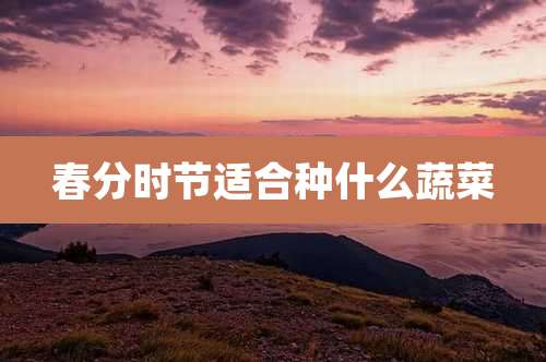 春分时节适合种什么蔬菜