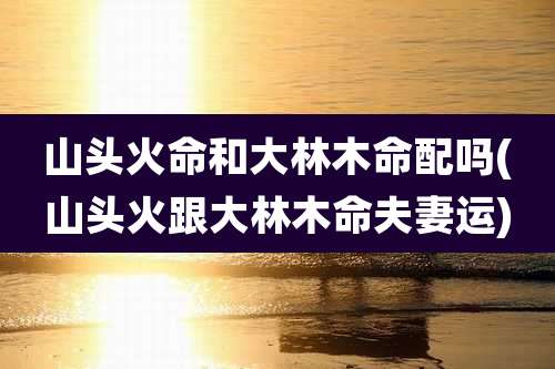 山头火命和大林木命配吗(山头火跟大林木命夫妻运)