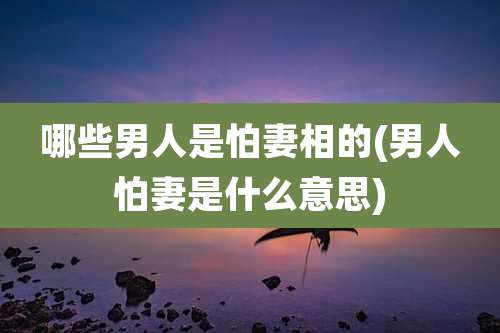 哪些男人是怕妻相的(男人怕妻是什么意思)