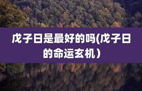 戊子日是最好的吗(戊子日的命运玄机)