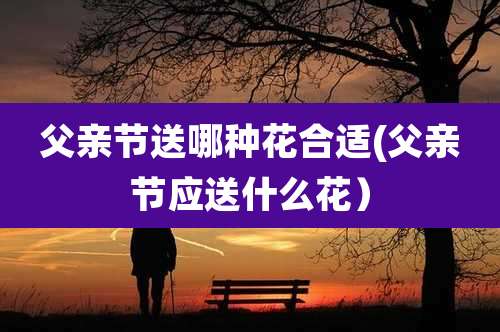 父亲节送哪种花合适(父亲节应送什么花)