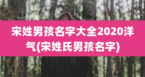 宋姓男孩名字大全2020洋气(宋姓氏男孩名字)