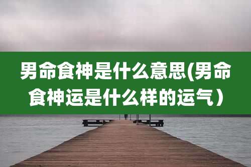 男命食神是什么意思(男命食神运是什么样的运气）