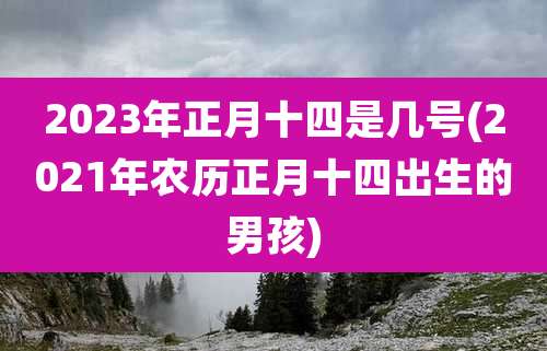 2023年正月十四是几号(2021年农历正月十四出生的男孩)