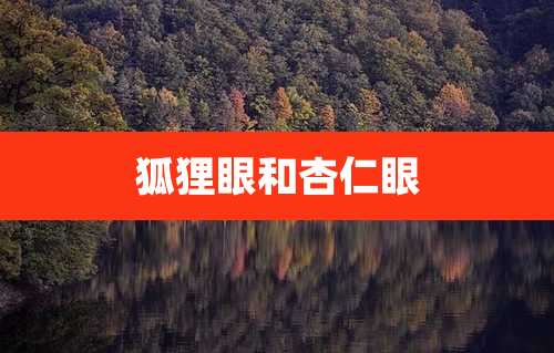 狐狸眼和杏仁眼