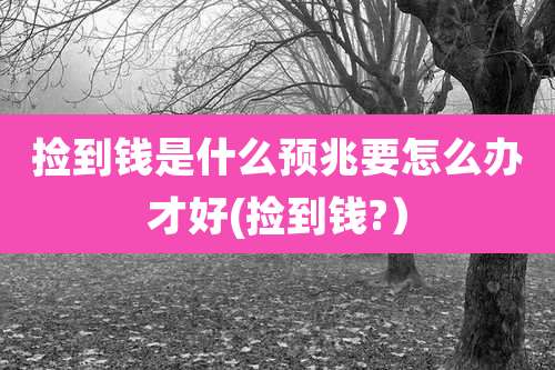 捡到钱是什么预兆要怎么办才好(捡到钱?）