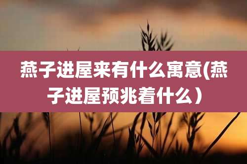 燕子进屋来有什么寓意(燕子进屋预兆着什么）