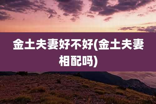 金土夫妻好不好(金土夫妻相配吗)