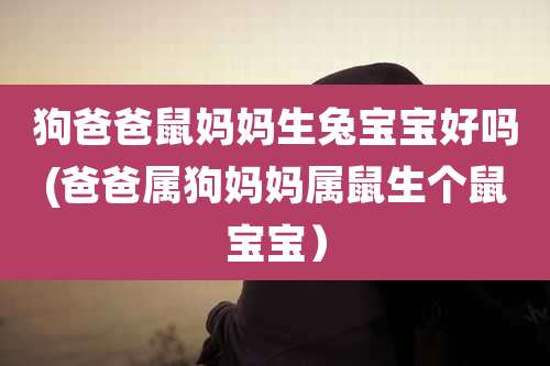 狗爸爸鼠妈妈生兔宝宝好吗(爸爸属狗妈妈属鼠生个鼠宝宝)