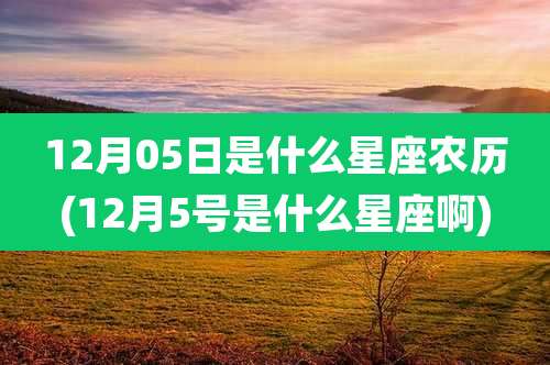 12月05日是什么星座农历(12月5号是什么星座啊)