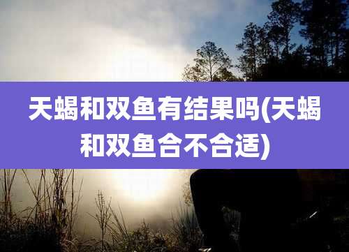 天蝎和双鱼有结果吗(天蝎和双鱼合不合适)