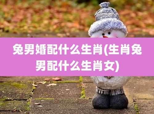 兔男婚配什么生肖(生肖兔男配什么生肖女)