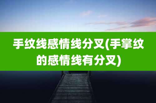 手纹线感情线分叉(手掌纹的感情线有分叉)