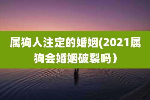 属狗人注定的婚姻(2021属狗会婚姻破裂吗)