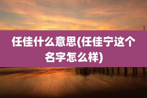 任佳什么意思(任佳宁这个名字怎么样)