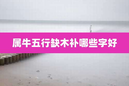 属牛五行缺木补哪些字好