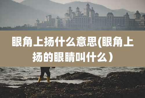 眼角上扬什么意思(眼角上扬的眼睛叫什么)