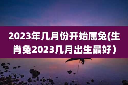 2023年几月份开始属兔(生肖兔2023几月出生最好）