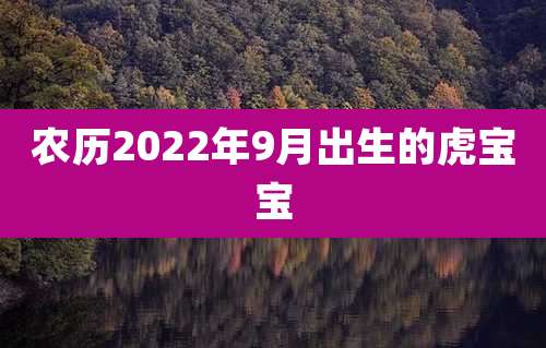 农历2022年9月出生的虎宝宝