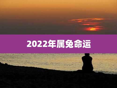2022年属兔命运