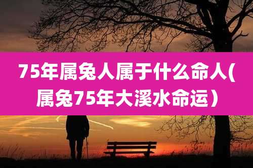 75年属兔人属于什么命人(属兔75年大溪水命运)