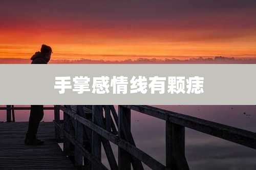 手掌感情线有颗痣