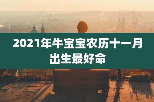 2021年牛宝宝农历十一月出生最好命