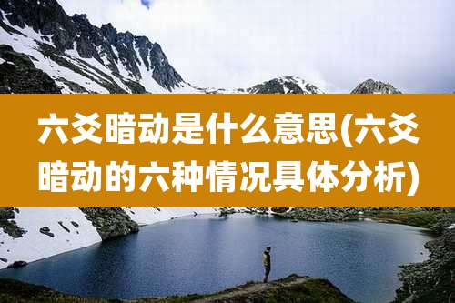 六爻暗动是什么意思(六爻暗动的六种情况具体分析)