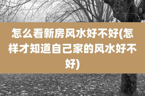 怎么看新房风水好不好(怎样才知道自己家的风水好不好)