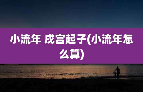 小流年 戌宫起子(小流年怎么算)