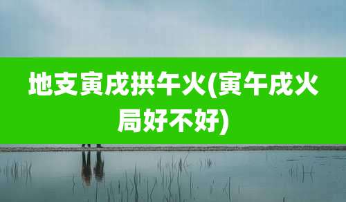 地支寅戌拱午火(寅午戌火局好不好)
