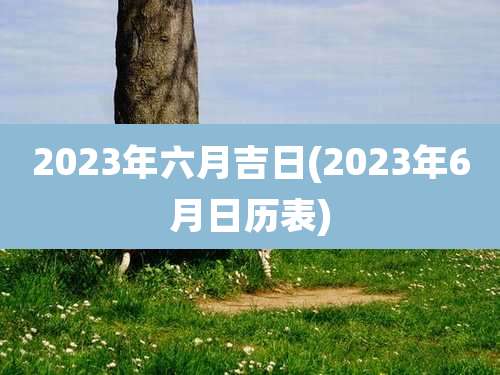 2023年六月吉日(2023年6月日历表)