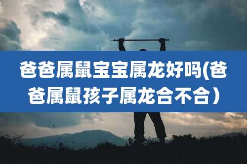 爸爸属鼠宝宝属龙好吗(爸爸属鼠孩子属龙合不合)