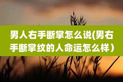 男人右手断掌怎么说(男右手断掌纹的人命运怎么样）