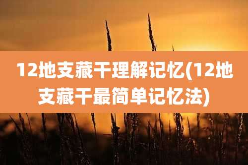 12地支藏干理解记忆(12地支藏干最简单记忆法)