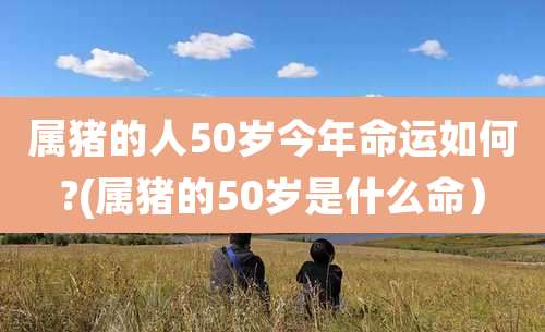 属猪的人50岁今年命运如何?(属猪的50岁是什么命)