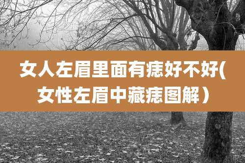 女人左眉里面有痣好不好(女性左眉中藏痣图解）