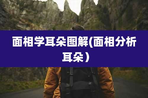 面相学耳朵图解(面相分析 耳朵)