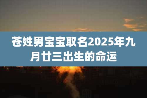 苍姓男宝宝取名2025年九月廿三出生的命运