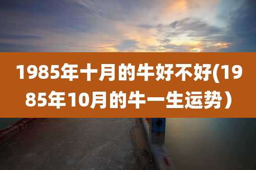 1985年十月的牛好不好(1985年10月的牛一生运势)