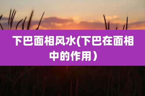 下巴面相风水(下巴在面相中的作用）