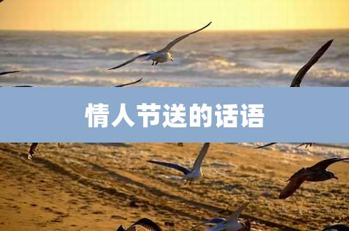 情人节送的话语