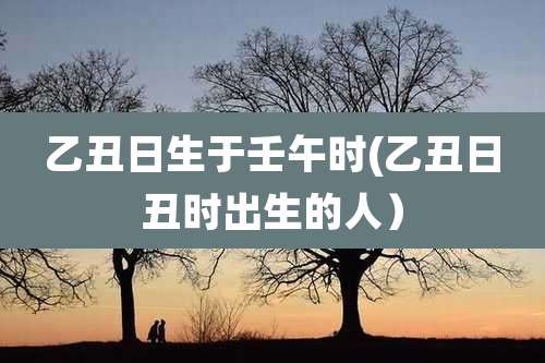 乙丑日生于壬午时(乙丑日丑时出生的人)