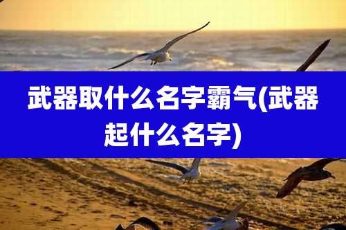 武器取什么名字霸气(武器起什么名字)