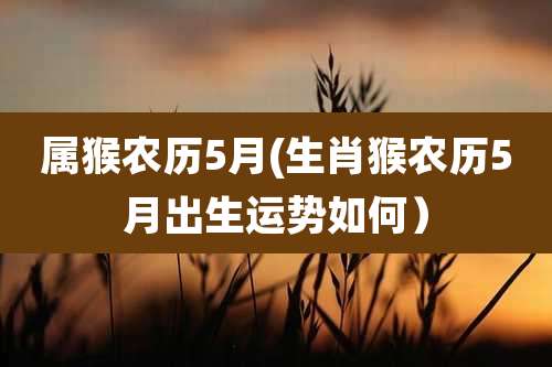 属猴农历5月(生肖猴农历5月出生运势如何）