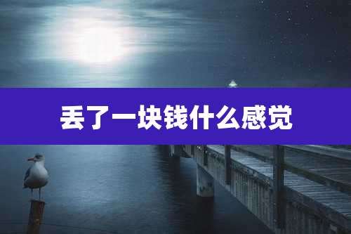 丢了一块钱什么感觉